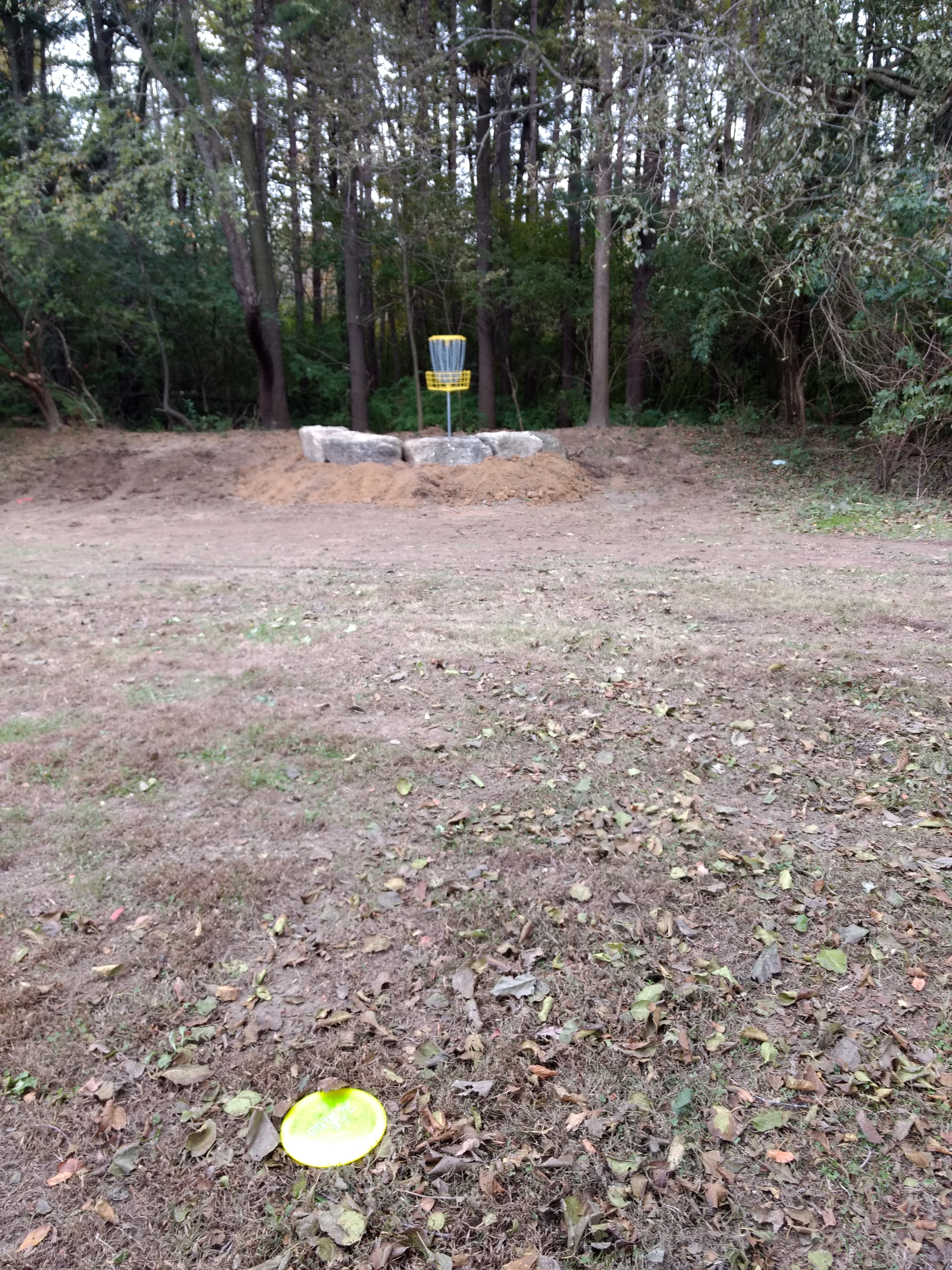 Green on Hole 11 Northwood Gold