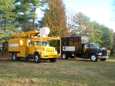 Abing Tree Service  Diego on Southeastern Tree Service   Tree Service   Greenville  Sc 29615